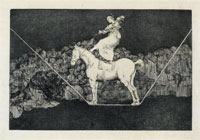 Francisco Goya Sur Folly