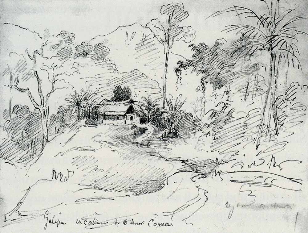 Camille Pissarro - Señor Correa's hut in the forest, Galipan