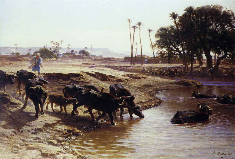 Leon Belly - Waterbuffaloes bathing in the Nile