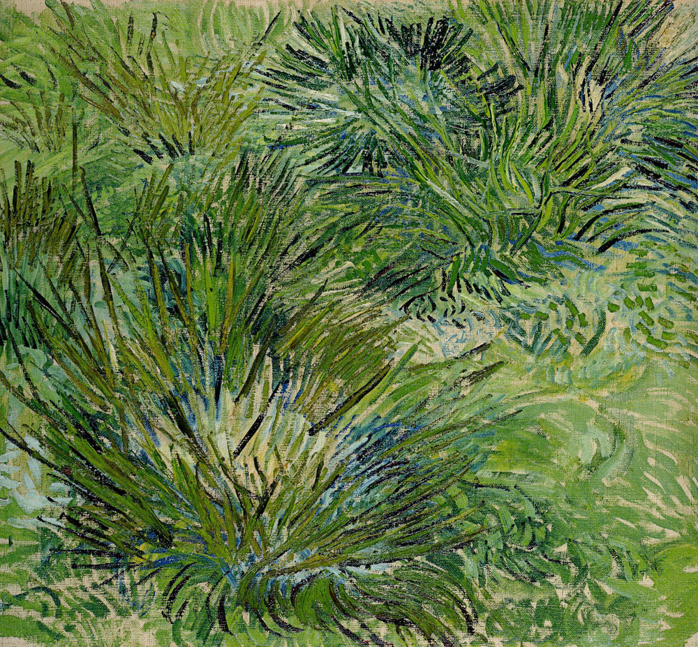 Vincent van Gogh - Clumps of Grass