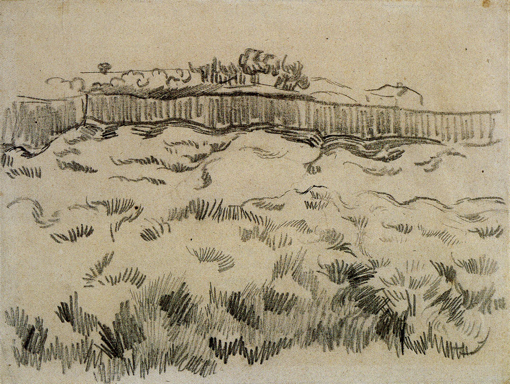 Vincent van Gogh - Enclsoed Field