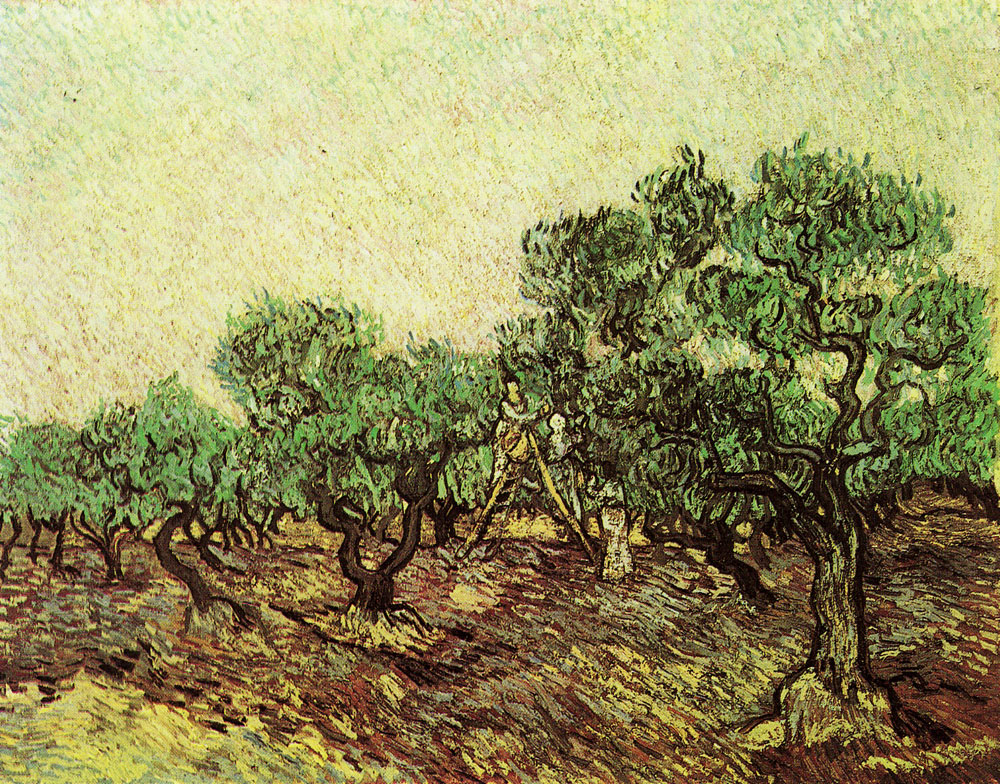 Vincent van Gogh - Olive Picking