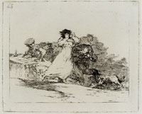 Francisco Goya What Is This Hubbuh? (Working proof)