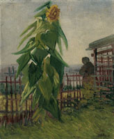 Vincent van Gogh Garden with sunflowers