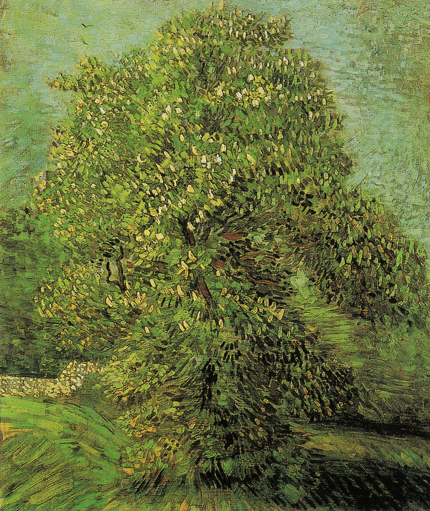 Vincent van Gogh - Chestnut in bloom