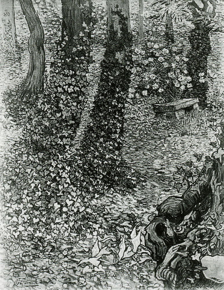 Vincent van Gogh - A Corner in the Garden of the Asylum at Saint-Rémy