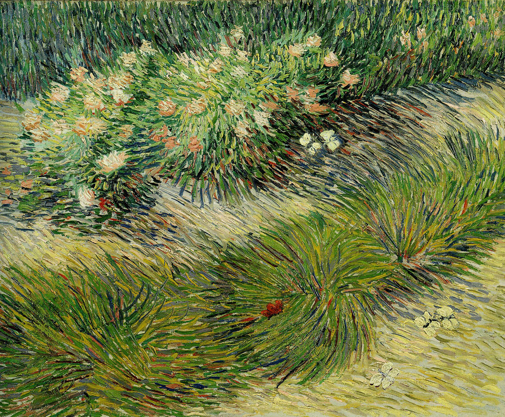 Vincent van Gogh - Grasses and Butterflies