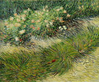 Vincent van Gogh Grasses and Butterflies
