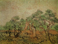 Vincent van Gogh Olive Picking