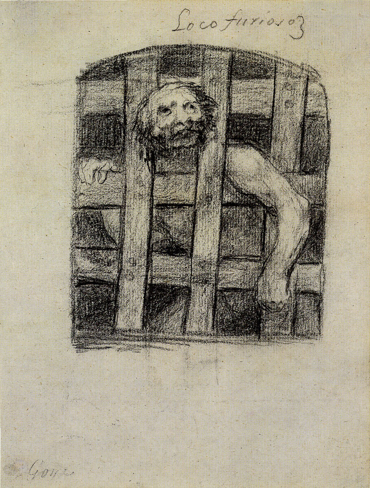 Francisco Goya - Raging Lunatic