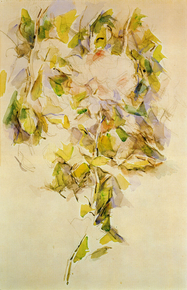 Paul Cézanne - Rose in the greenery