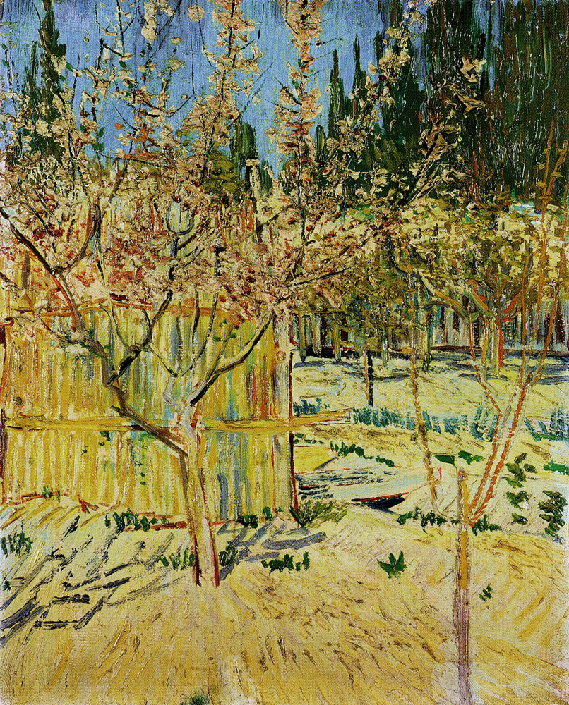 Vincent van Gogh - Apricot Trees in Blossom