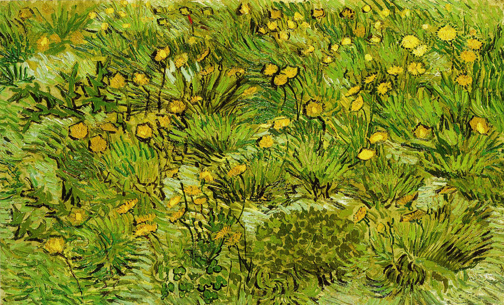 Vincent van Gogh - Dandelions