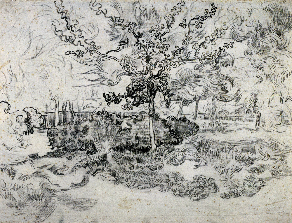 Vincent van Gogh - Garden of the Asylum