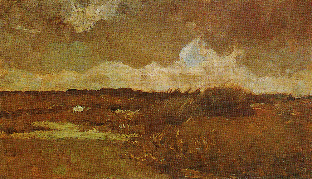 Vincent van Gogh - Marsh