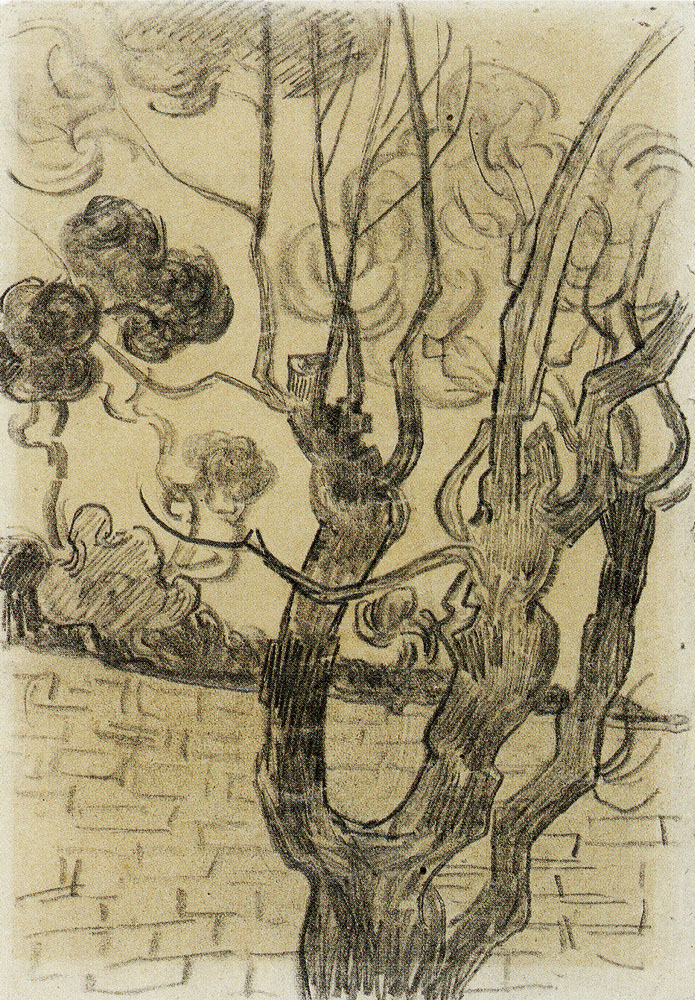 Vincent van Gogh - Treetop Seen against the Wall of the Asylum