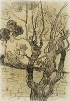 Vincent van Gogh Treetop Seen against the Wall of the Asylum