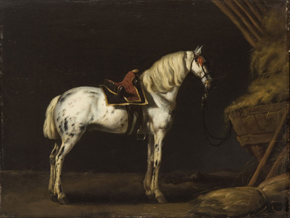 Copy after Abraham van Calraet - White horse in a stable
