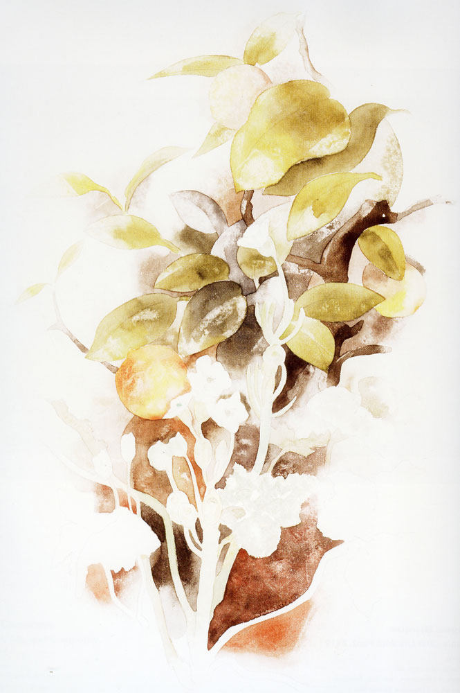 Charles Demuth - Orange tree and primrose