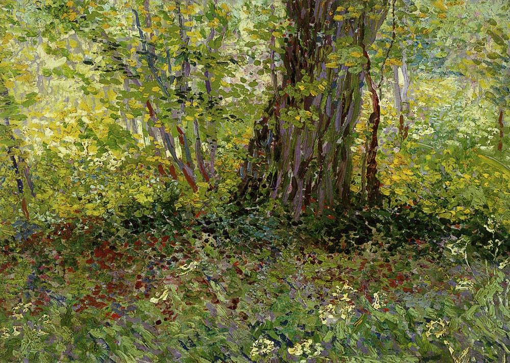 Vincent van Gogh - Undergrowth