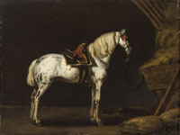 Copy after Abraham van Calraet White horse in a stable