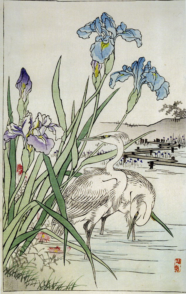 Kono Bairei - Bairei's Album of Bird-and-Flower Compositions: Spring-Summer