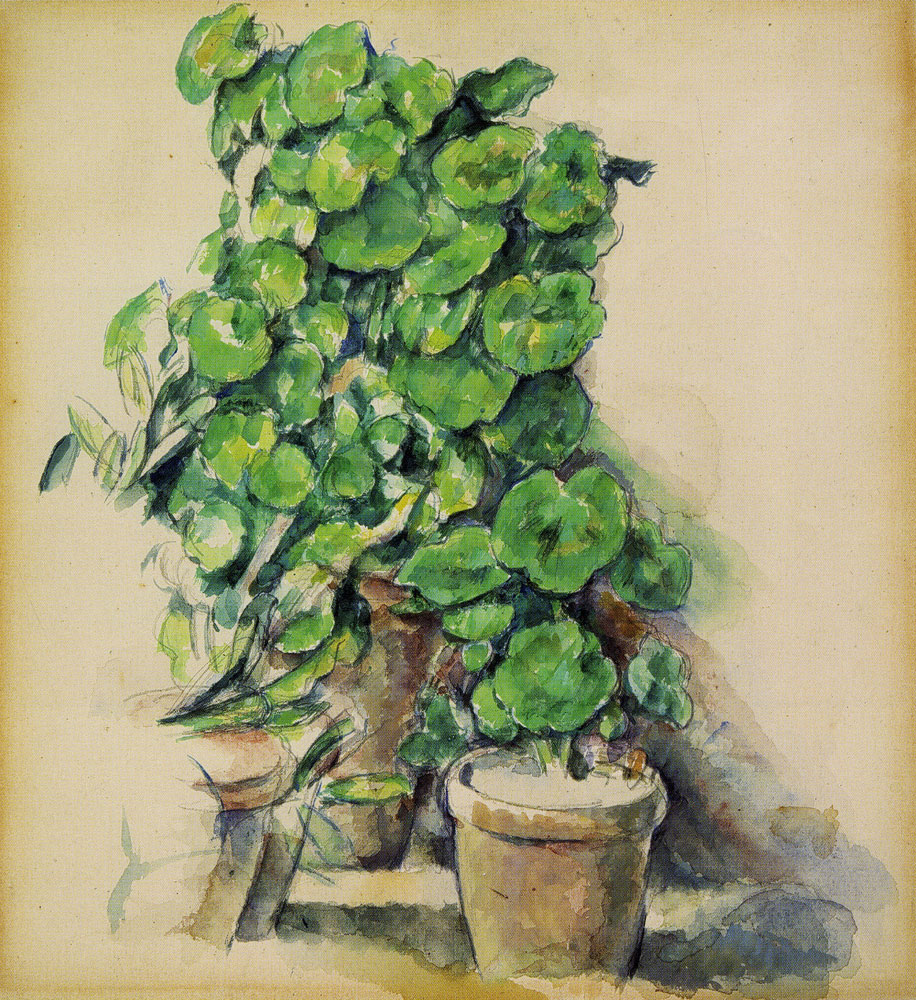 Paul Cézanne - Geraniums