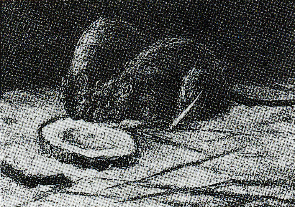 Vincent van Gogh - Two rats