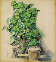 Paul Cézanne Geraniums