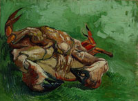 Vincent van Gogh Crab on its Back