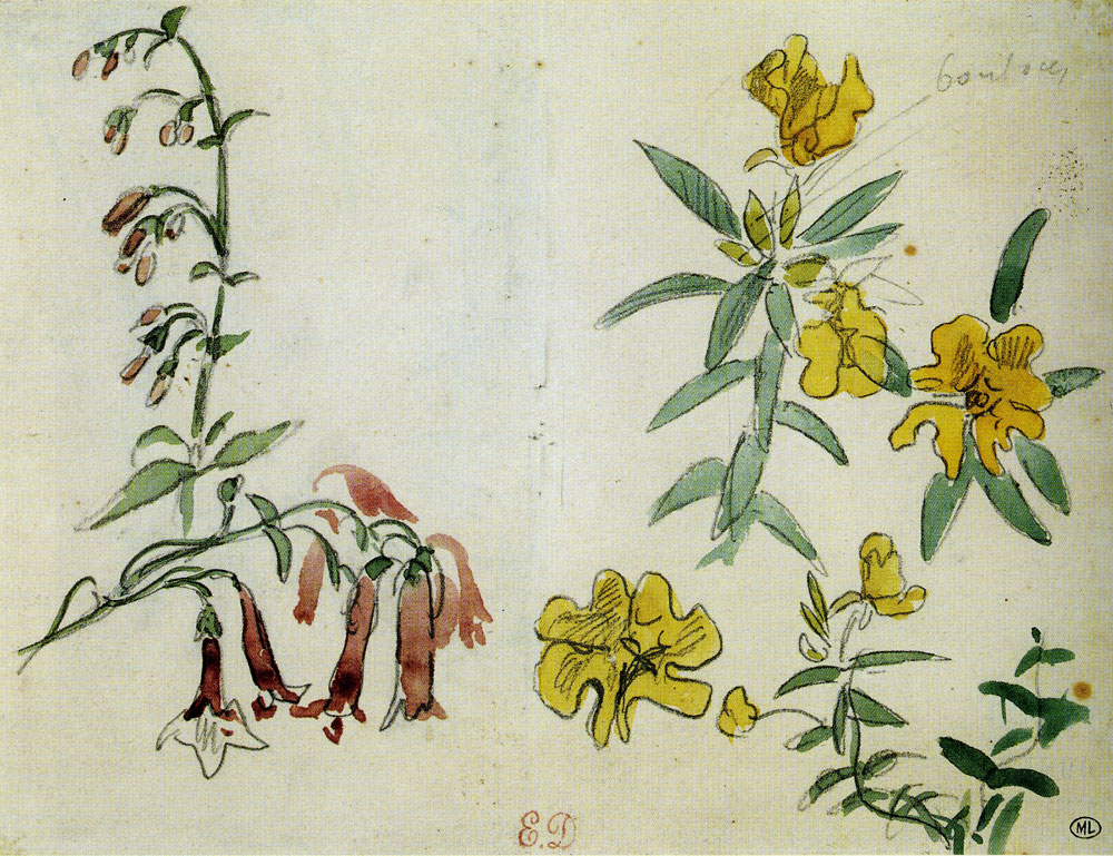 Eugène Delacroix - Flower Studies with a Branch of Fuchsia