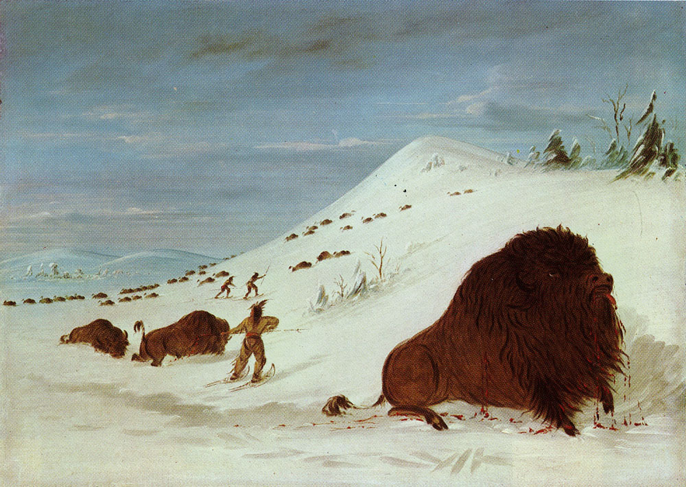 George Catlin - Buffalo - Lancing in the Snow Drifts - Sioux