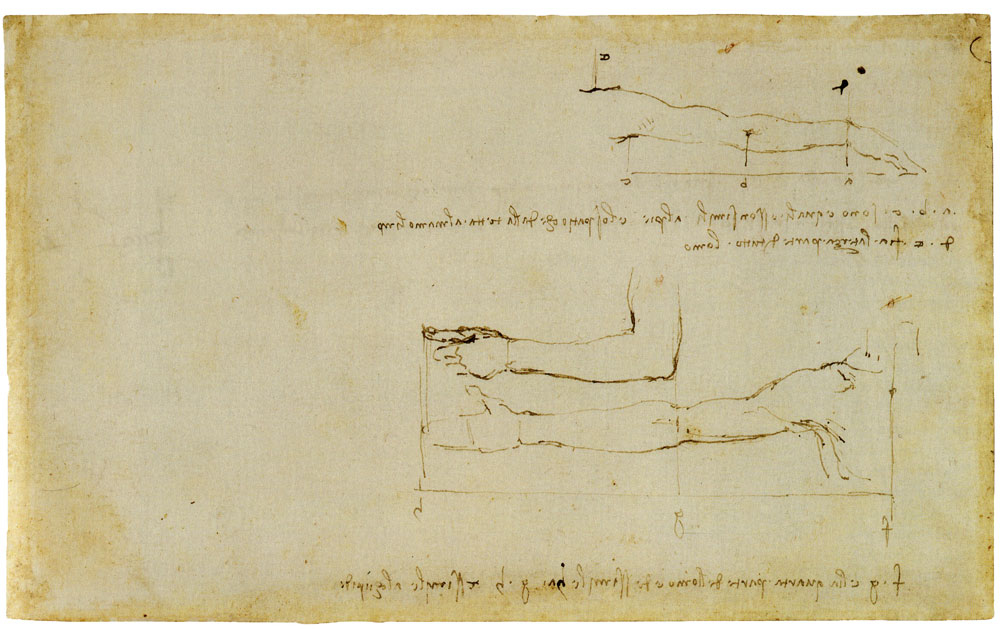Leonardo da Vinci - The Proportions of the Arm