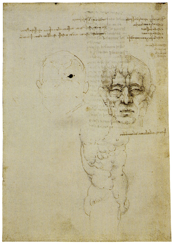 Leonardo da Vinci - The Veins of the Face; A Torso