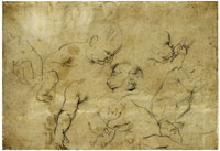 Anthony van Dyck Studies of Babies