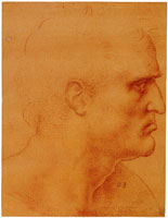 Leonardo da Vinci Study of a Man in Profile