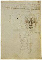 Leonardo da Vinci The Veins of the Face; A Torso