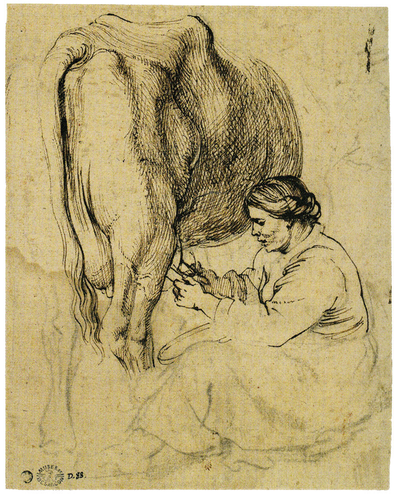 Anthony van Dyck - Woman Milking a Cow