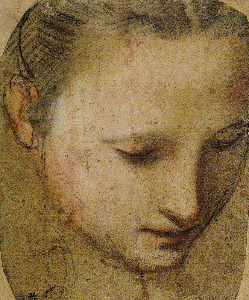Federico Barocci - Study of the Virgin's Head for the Madonna del Gatto