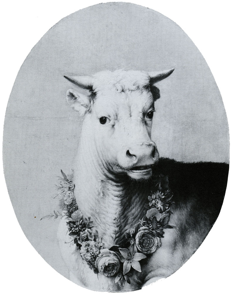 Imitator of Paulus Potter - Head of a white bull