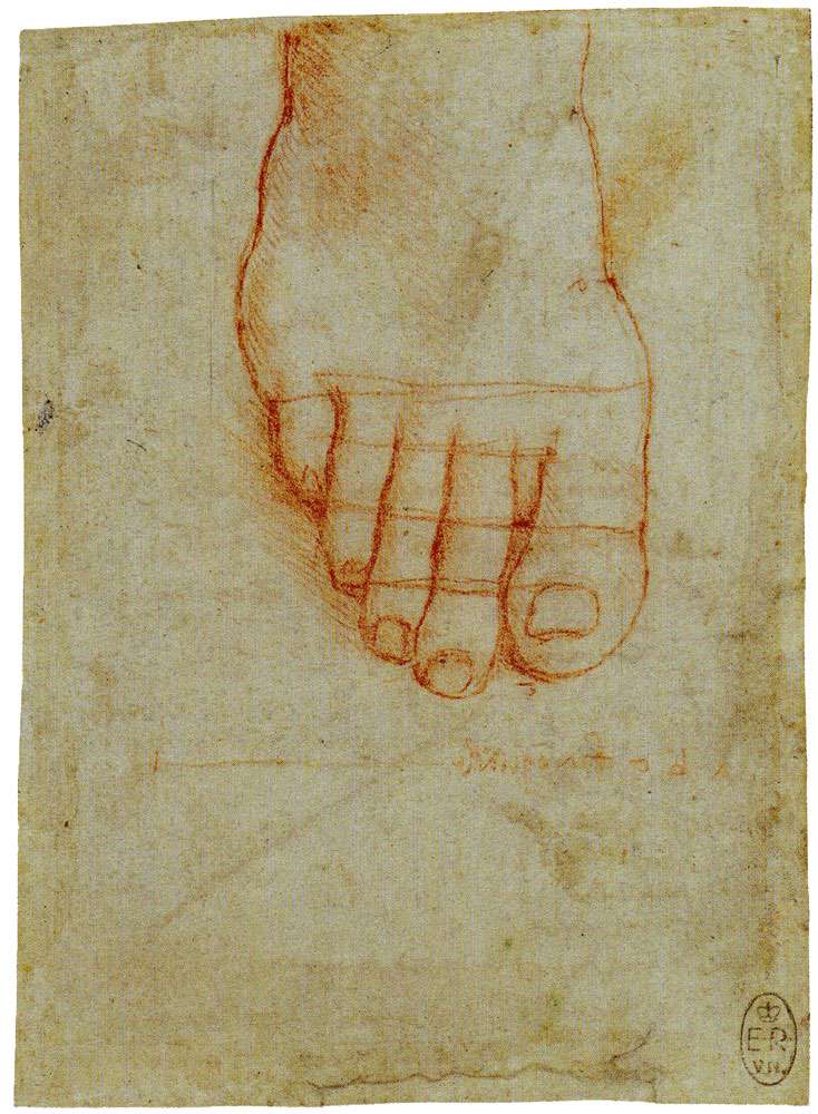 Leonardo da Vinci - Measured Study of a Foot