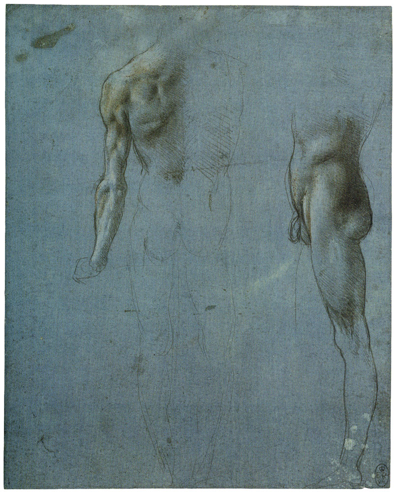 Leonardo da Vinci - Studies of a Male Nude