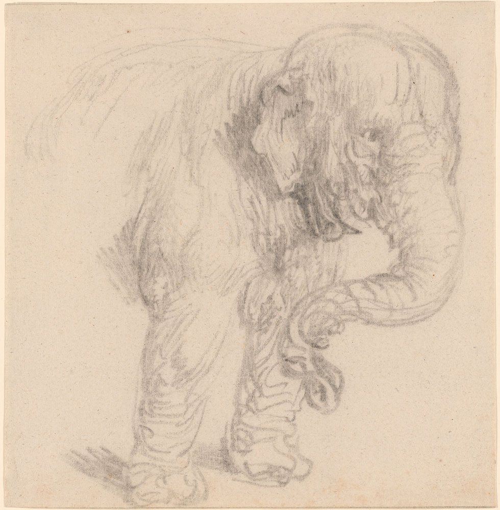 Rembrandt - Study of an elephant
