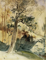 Eugène Delacroix Patch of Forest with an Oak Tree