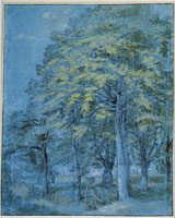 Hendrick Goltzius Study of Trees
