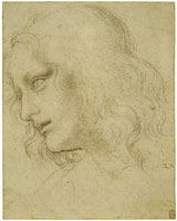 Leonardo da Vinci Head of a Youth