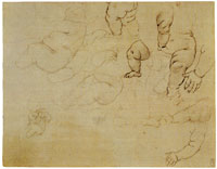 Leonardo da Vinci Studies of a Naked Infant