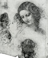 Leonardo da Vinci Study for the Head of Leda