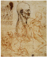 Leonardo da Vinci Proportional Study of a Man in Profile; Horsemen