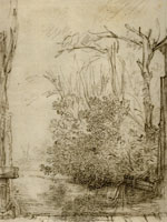 Rembrandt A Canal between Bushes